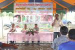 โครงการฝึกอบรมอาชีพกรีดยางพารา